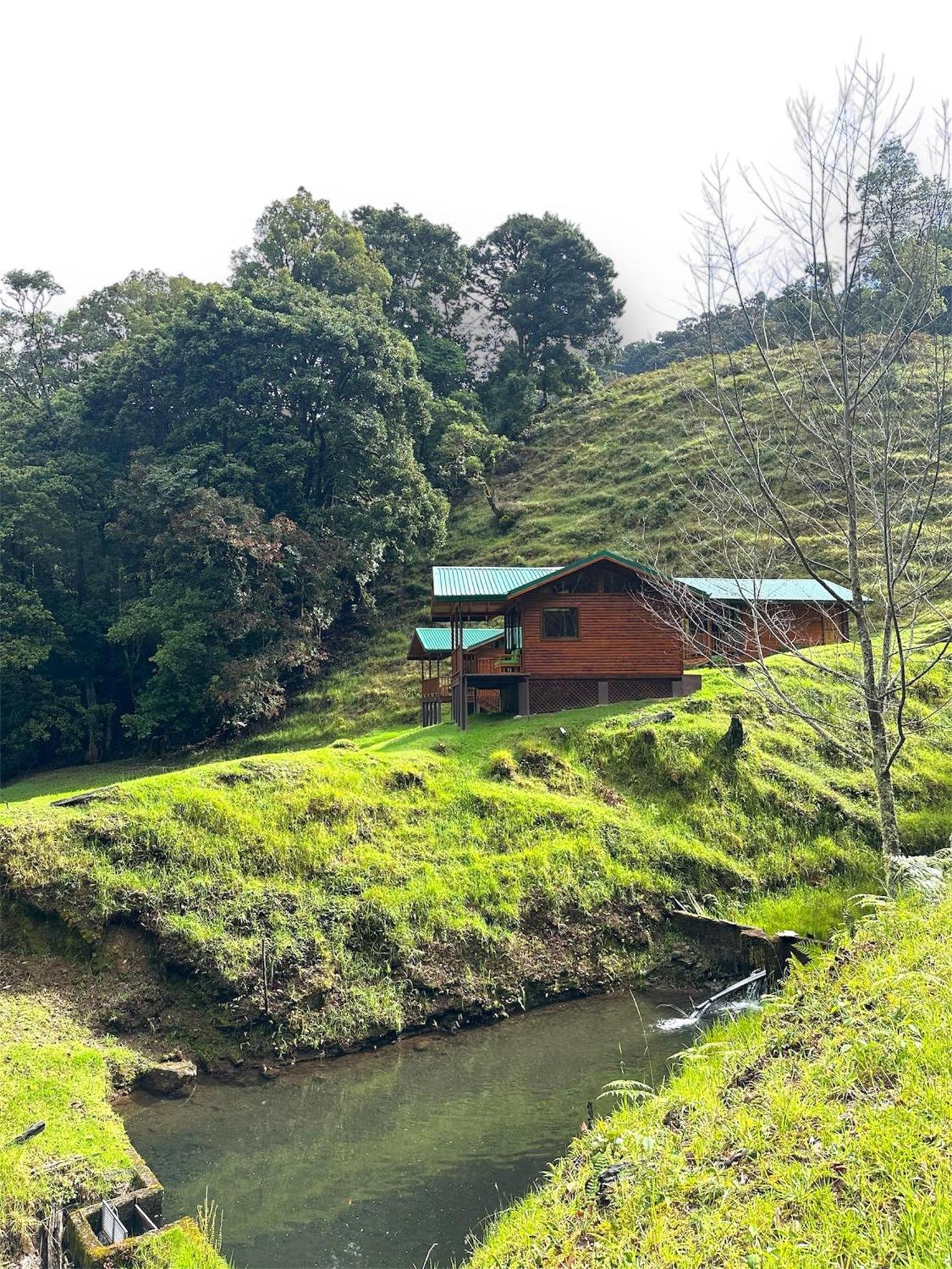 Entre Arboles Lodge San Gerardo de Dota Exterior foto