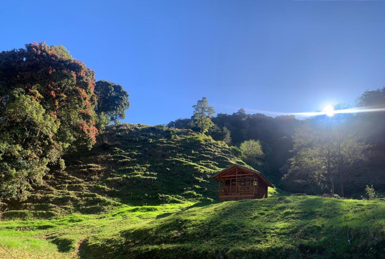 Entre Arboles Lodge San Gerardo de Dota Exterior foto