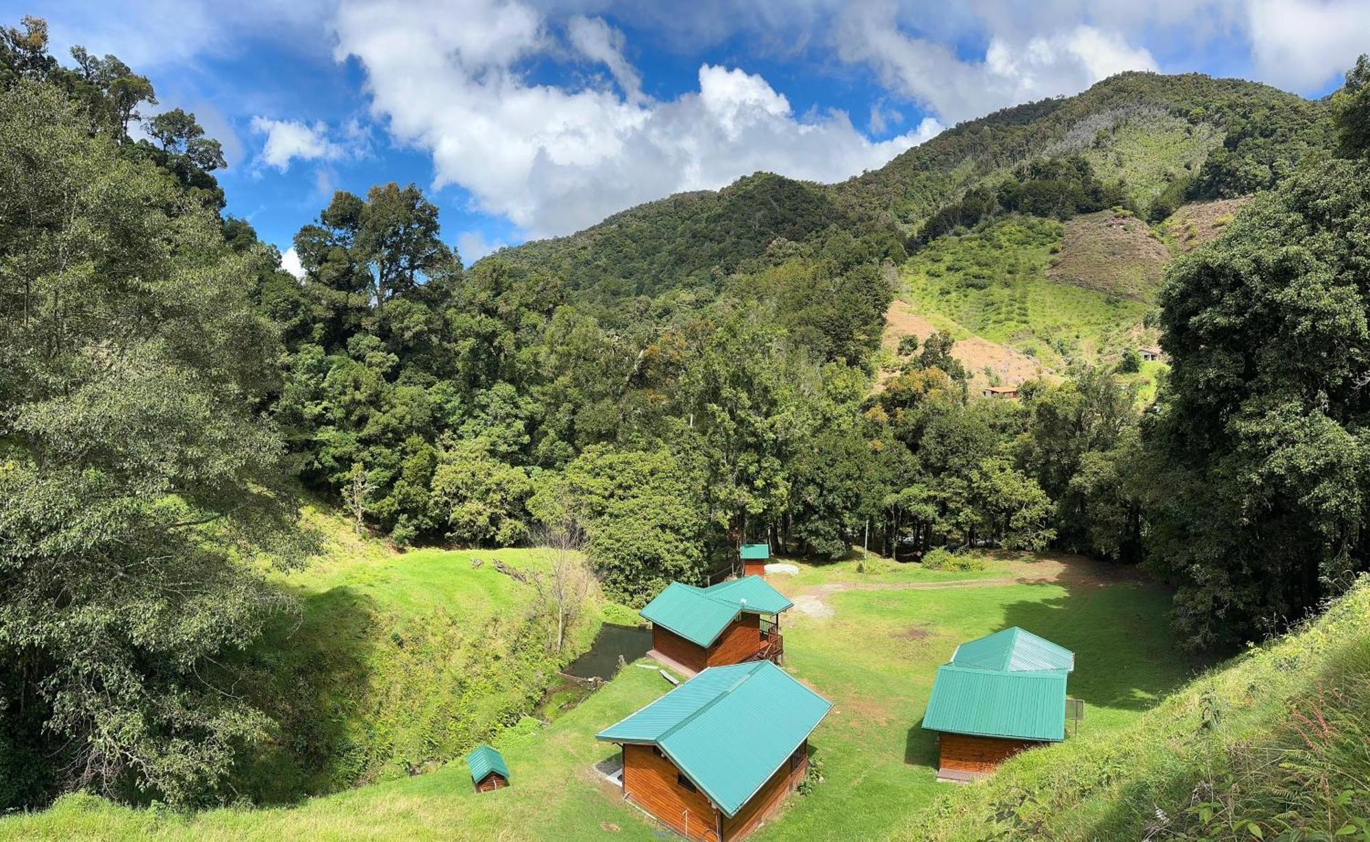 Entre Arboles Lodge San Gerardo de Dota Exterior foto