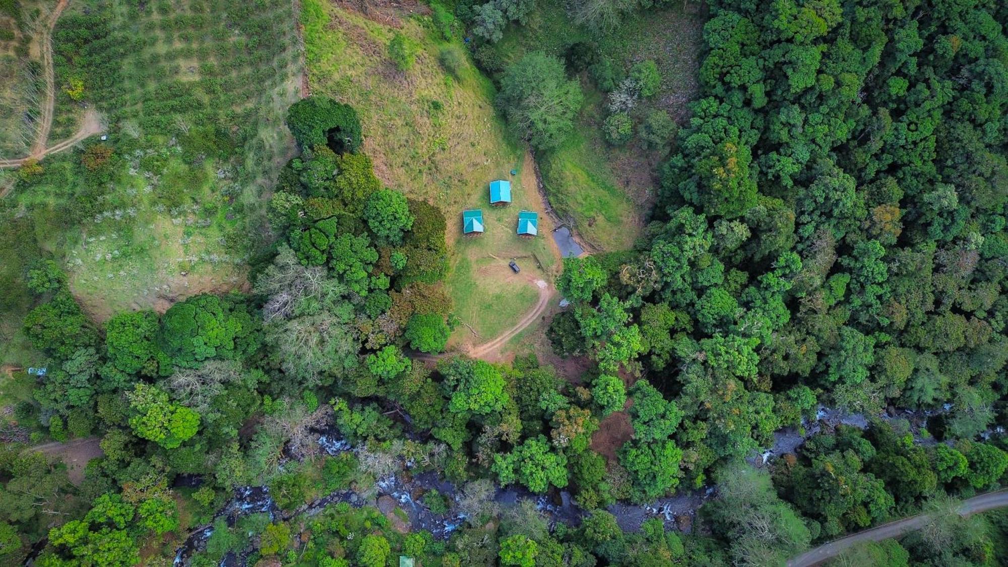 Entre Arboles Lodge San Gerardo de Dota Exterior foto