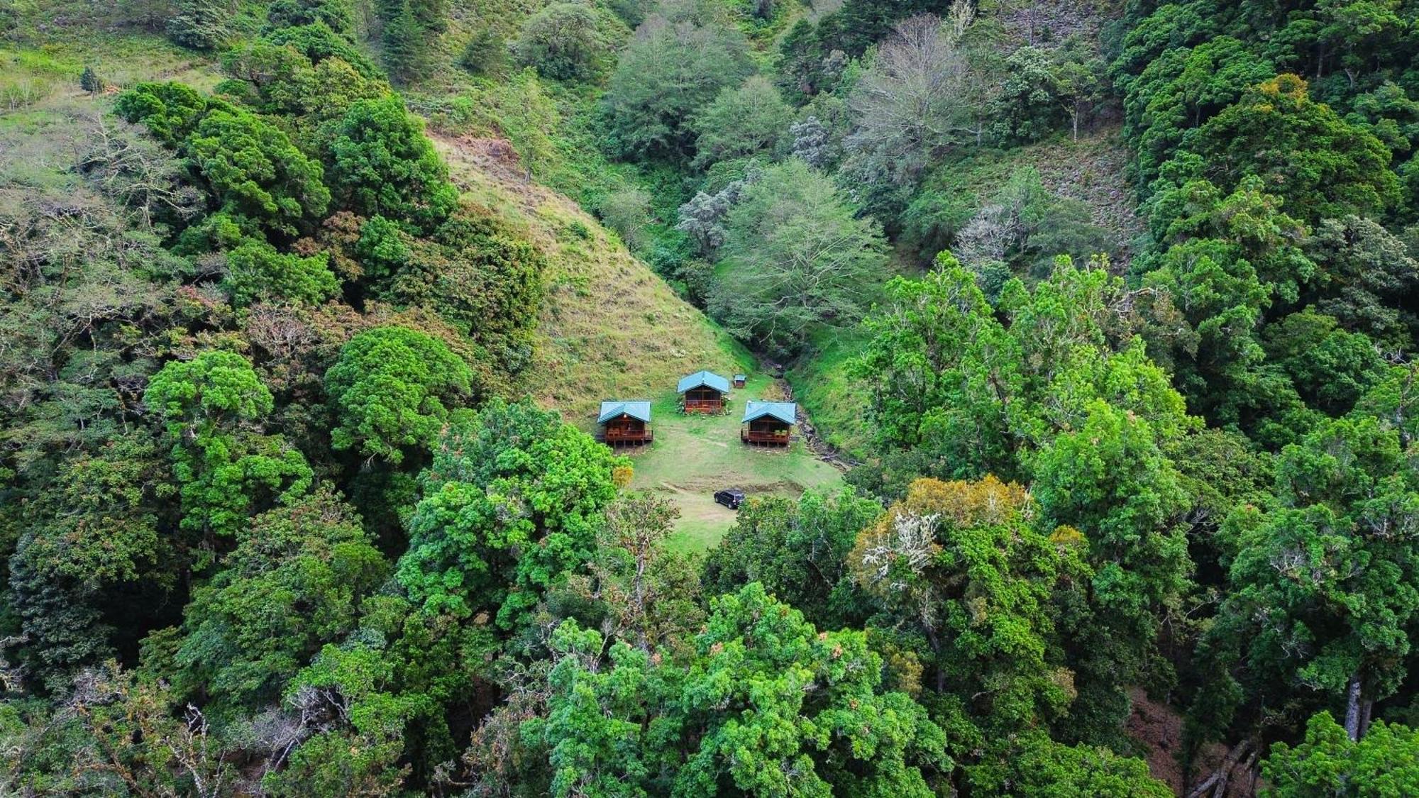 Entre Arboles Lodge San Gerardo de Dota Exterior foto