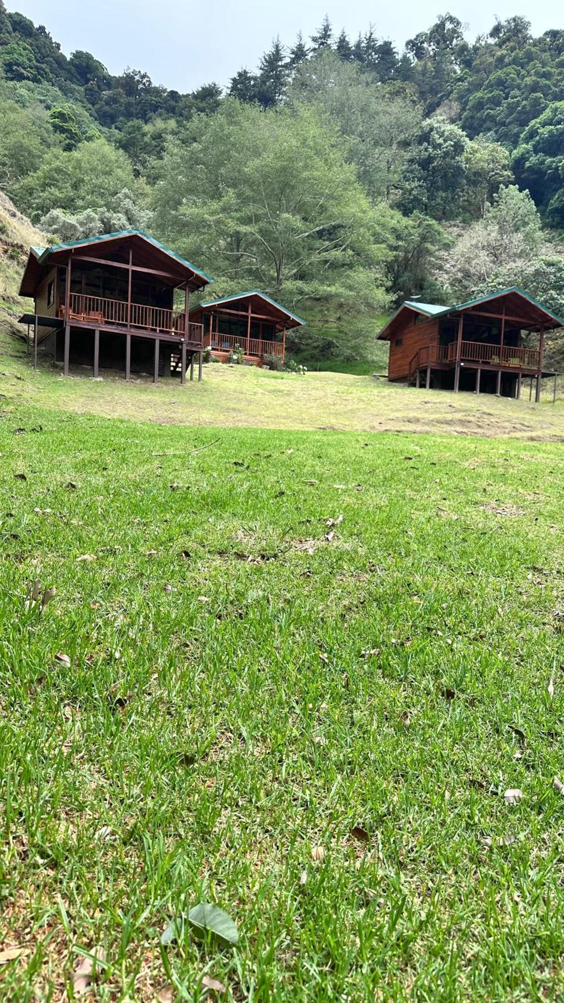 Entre Arboles Lodge San Gerardo de Dota Exterior foto