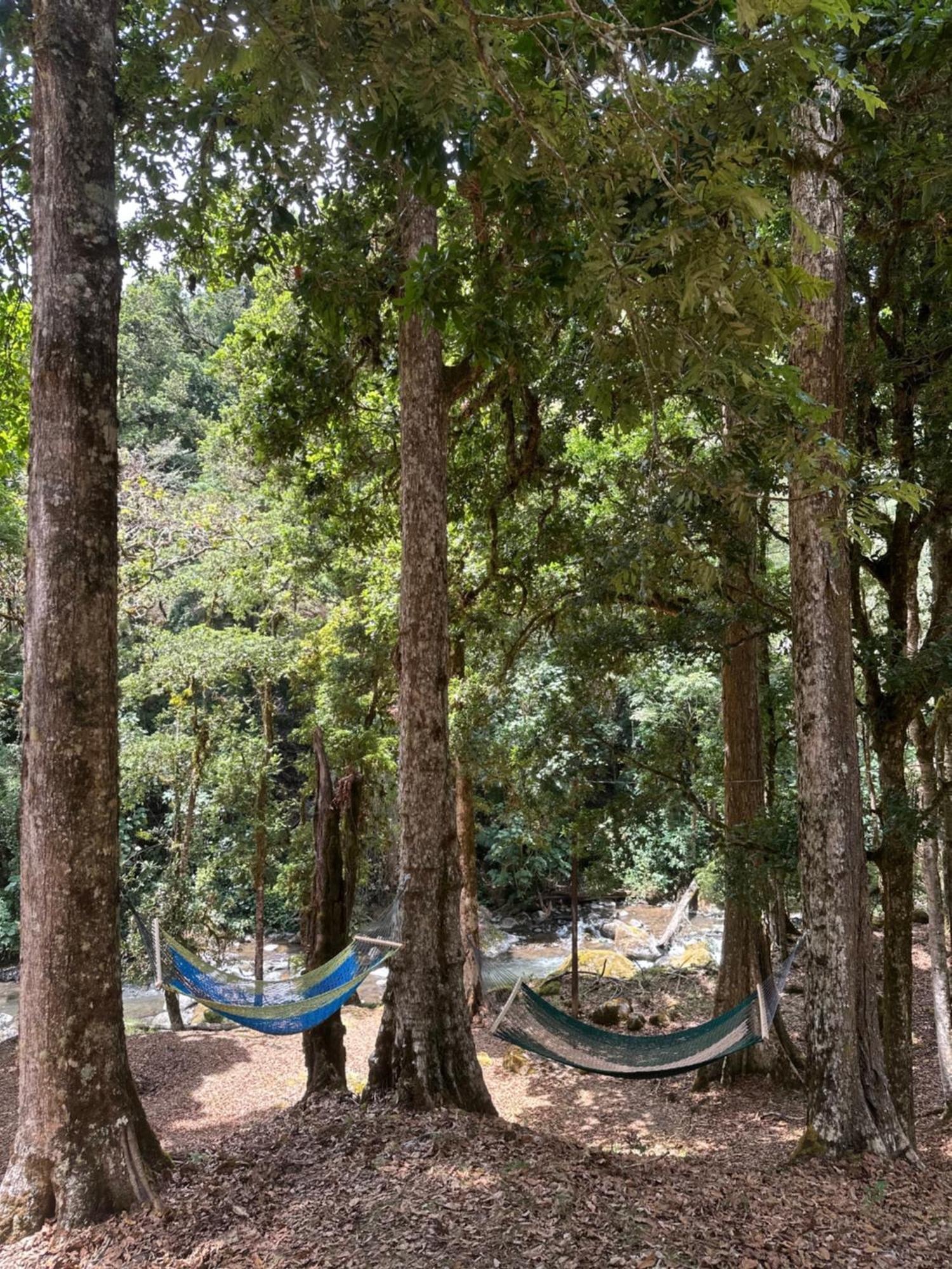 Entre Arboles Lodge San Gerardo de Dota Exterior foto